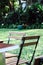 Table setting for a garden lunch