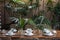 Table setting in kitchen with white plates, utensils and leafy plants in vase