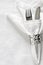 Table setting with silver napkin ring