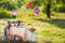 Table with tea crockery in the garden