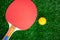 Table tennis racket with orange balls,Ping-Pong paddles on greensward