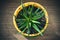 On a table there is a yellow pot with a young decorative aloe with green leaves