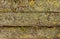 A table top made of old wooden rustic boards, nailed together, covered with tiny lichen