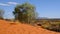 Table top mountain Conner in outback on the horizon, sunny day in Northern Territory Australia