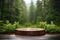 Table top wood counter floor podium in nature outdoors . Blurred green plant background. Natural product present