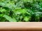 Table top wood counter floor podium in nature outdoors tropical forest garden blurred green jungle plant background.