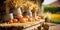 A table topped with lots of pumpkins on top of hay. Harvest time, Thanksgiving decor
