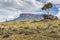 Tablemountain Roraima with clouds, Venezuela, Latin America.