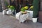 Tables and chairs with blankets street cafes