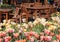 Tables ,chairs and tulips in the garden.