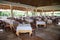 Tables set in a restaurant at a tropical hotel under palm leaf r