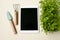 Tablet for making garden notes, green fresh sprouts and tools for planting