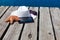 Tablet PC on the wooden swimming dock