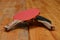 Tabletennis table ping pong red black wood bat