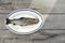 Tabletop view, raw trout fish on a white oval plate with blue rim, sun shining from side to gray wood boards desk under