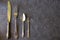 Tableware and dishware setting, folk, knife and spoon