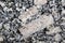 Tabular k-feldspar crystals in a granite ghiandone rock