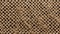 Tactile Tan Jute Stitched Mesh Background Photo Inspired By Artemisia Gentileschi