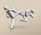 Taekwondo 3D icon, Olympic sports