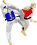 The Taekwondo Athlete Korean Martial Art