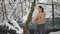 taekwondo man, in the snow in winter, kicks, hardening, wipes himself with snow, bathes in the snow