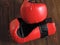 Taekwondo sparring gloves