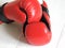 Taekwondo sparring gloves