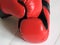 Taekwondo sparring gloves