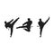 Taekwondo Vector icon design
