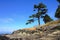 Tafoni Sandstone Formations at Northern Tip of Galiano Island, Dionisio Point Provincial Park, British Columbia, Canada