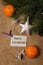 Tag Merry Christmas, postcard, mandarines, fir-cones