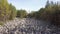 Taganay National Park in Russia in Autumn. Aerial View of `Big Stone River`, Biggest Deposit Occurrence of Aventurine