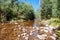 Taggerty River Near Marysville Australia