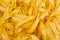 Tagliatelle Italian pasta texture background