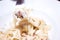 Tagliatelle vegetarian Pasta Dish with Mushrooms - Stock image .