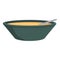 Tahini soup plate icon cartoon vector. Bowl cream