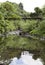 Tahiti. The bridge through the river in mountains