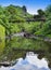 Tahiti. The bridge through the river in mountains.