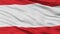 Tahiti Flag Closeup View