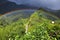 Tahiti. Polynesia. Clouds over a mountain landscape and rainbow