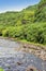 Tahiti.Tropical nature and mountain river.