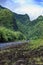 Tahiti.Tropical nature and mountain river.