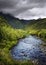 Tahiti.Tropical nature and mountain river