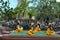 Tahitian dance at a canoe pageant