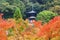 Tahoto Pagoda with autumn leaves in Eikando, Kyoto