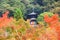 Tahoto Pagoda with autumn leaves in Eikando, Kyoto