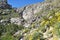 Tahquitz Canyon Trail