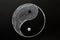 Tai Chi or yinyang symbol