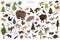 Taiga biome, boreal snow forest 3d isometry design. Terrestrial ecosystem world map. Animals, birds, fish and plants infographic