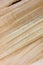 Taiga birch wood grain texture pattern background